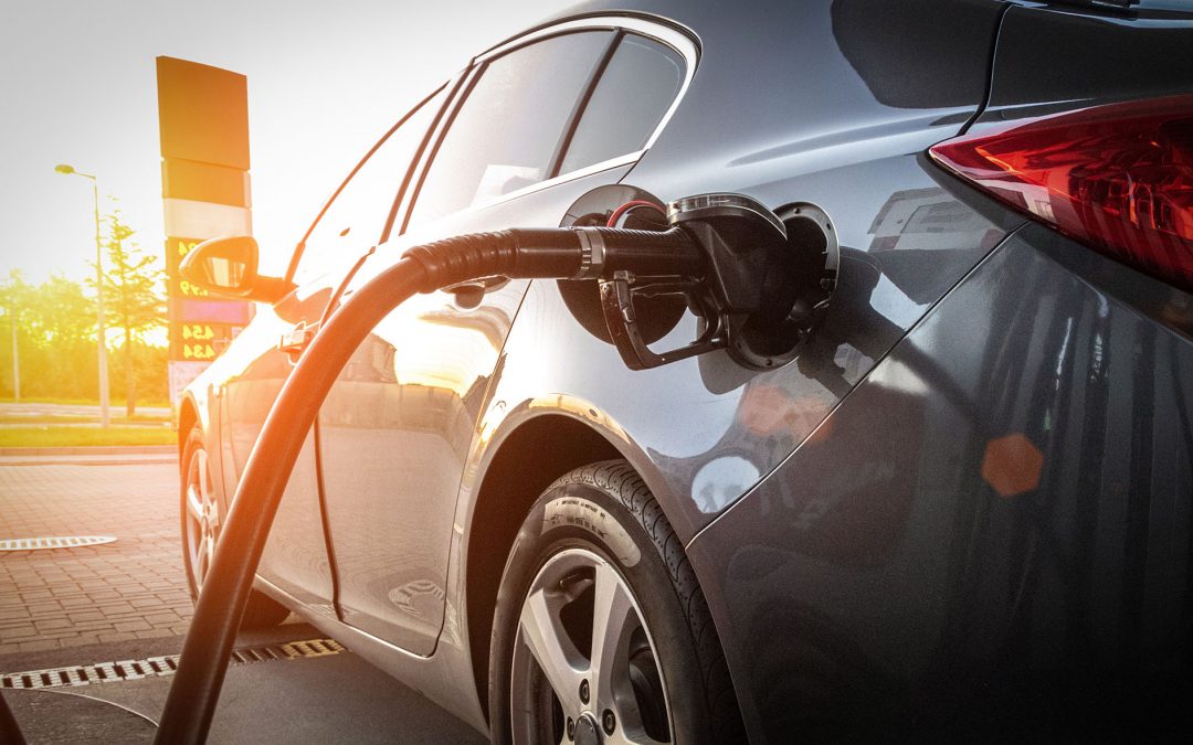 Wholesale of fuels